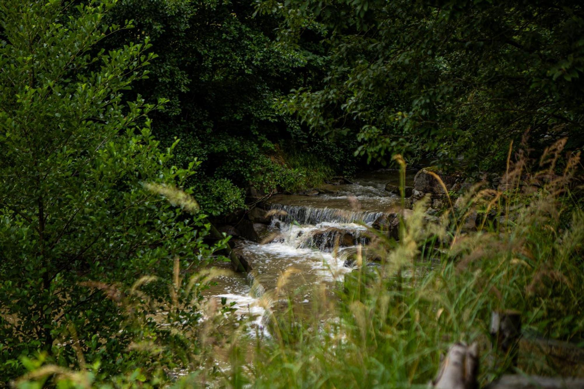 Domek Na Skalce Zabnica Extérieur photo